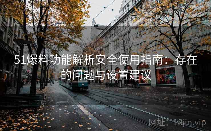 51爆料功能解析安全使用指南：存在的问题与设置建议  第2张