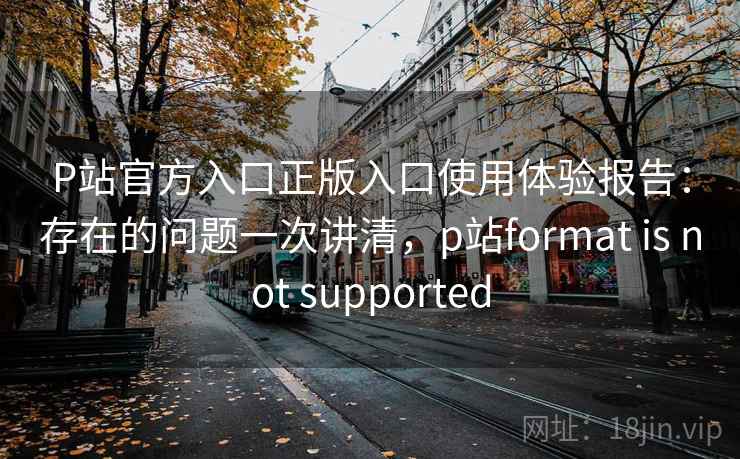 P站官方入口正版入口使用体验报告：存在的问题一次讲清，p站format is not supported