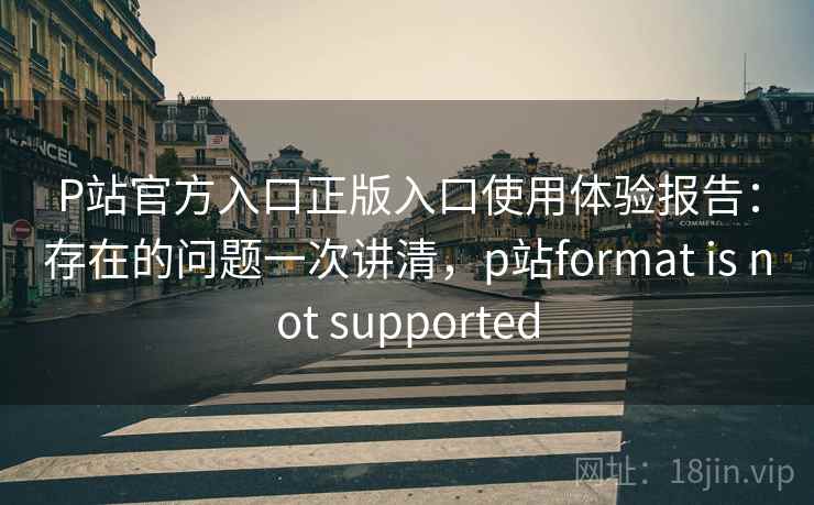P站官方入口正版入口使用体验报告：存在的问题一次讲清，p站format is not supported  第2张