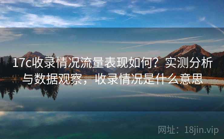 17c收录情况流量表现如何？实测分析与数据观察，收录情况是什么意思  第1张