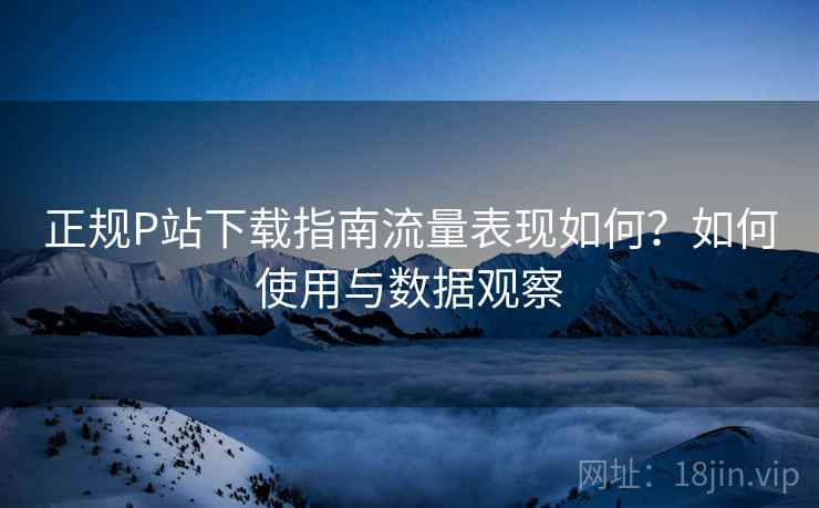 正规P站下载指南流量表现如何？如何使用与数据观察  第2张