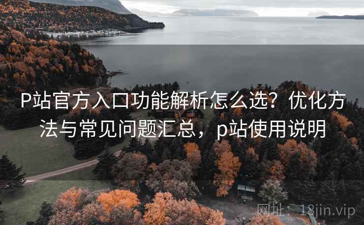 P站官方入口功能解析怎么选？优化方法与常见问题汇总，p站使用说明