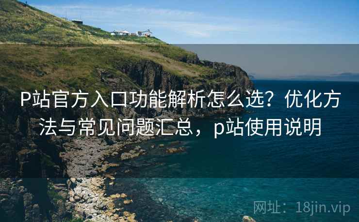 P站官方入口功能解析怎么选？优化方法与常见问题汇总，p站使用说明  第2张