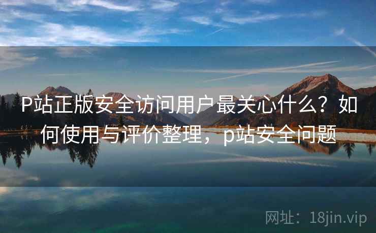 P站正版安全访问用户最关心什么？如何使用与评价整理，p站安全问题