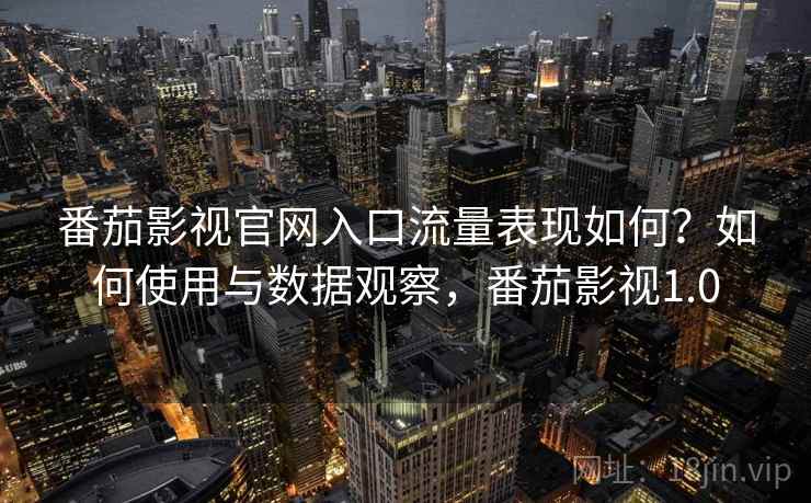 番茄影视官网入口流量表现如何?如何使用与数据观察,番茄影视1.0 第2张 番茄影视官网入口流量表现如何?如何使用与数据观察,番茄影视1.0 第2张