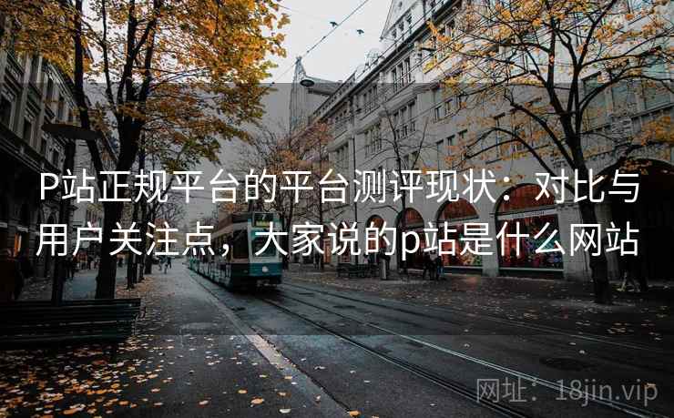 P站正规平台的平台测评现状：对比与用户关注点，大家说的p站是什么网站  第1张