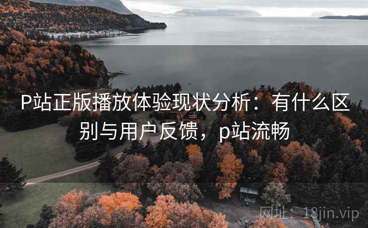 P站正版播放体验现状分析：有什么区别与用户反馈，p站流畅  第2张