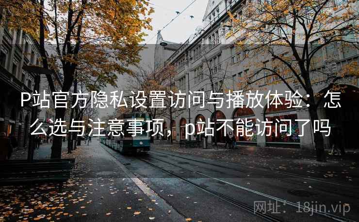 P站官方隐私设置访问与播放体验：怎么选与注意事项，p站不能访问了吗  第1张