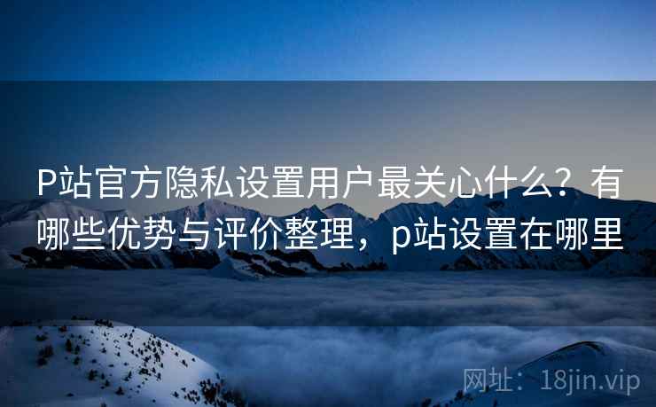 P站官方隐私设置用户最关心什么?有哪些优势与评价整理,p站设置在哪里 第2张 P站官方隐私设置用户最关心什么?有哪些优势与评价整理,p站设置在哪里 第2张
