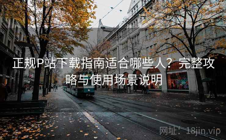 正规P站下载指南适合哪些人？完整攻略与使用场景说明  第2张