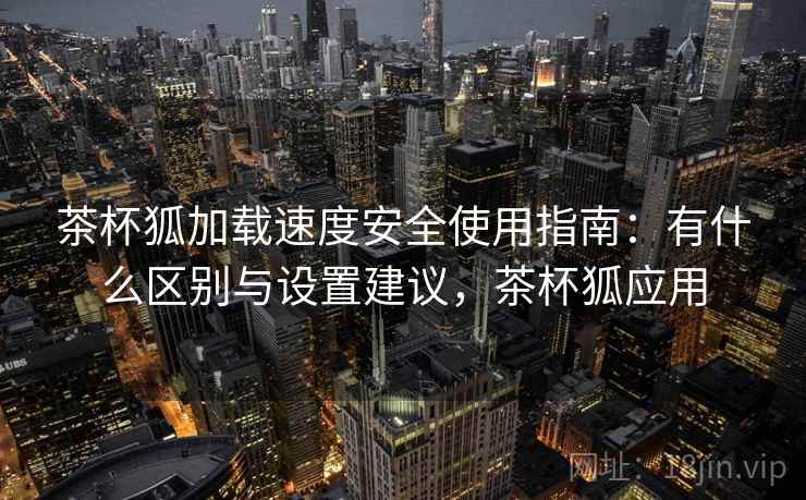 茶杯狐加载速度安全使用指南：有什么区别与设置建议，茶杯狐应用  第2张