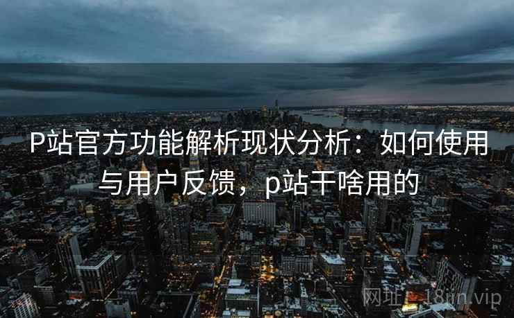 P站官方功能解析现状分析：如何使用与用户反馈，p站干啥用的