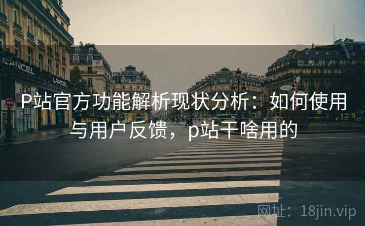 P站官方功能解析现状分析:如何使用与用户反馈,p站干啥用的 第2张 P站官方功能解析现状分析:如何使用与用户反馈,p站干啥用的 第2张