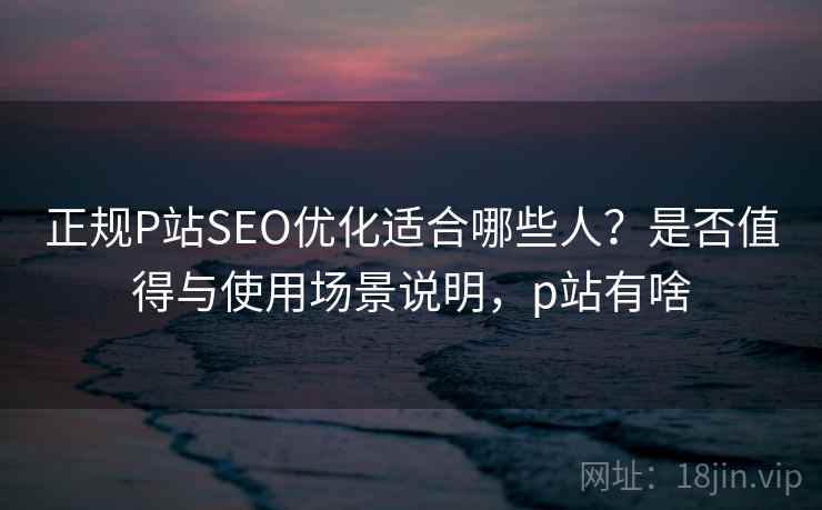 正规P站SEO优化适合哪些人？是否值得与使用场景说明，p站有啥