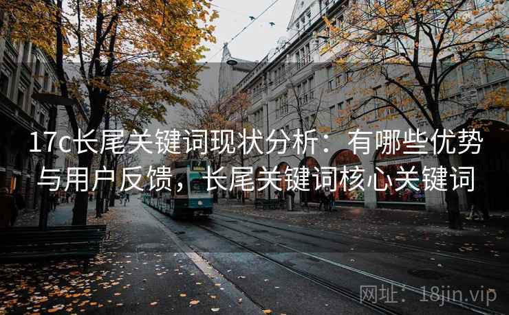 17c长尾关键词现状分析:有哪些优势与用户反馈,长尾关键词核心关键词 第2张 17c长尾关键词现状分析:有哪些优势与用户反馈,长尾关键词核心关键词 第2张