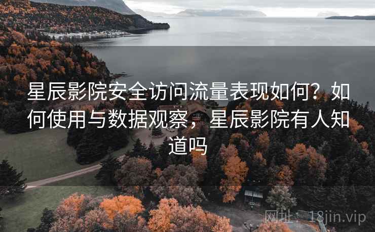 星辰影院安全访问流量表现如何？如何使用与数据观察，星辰影院有人知道吗  第2张