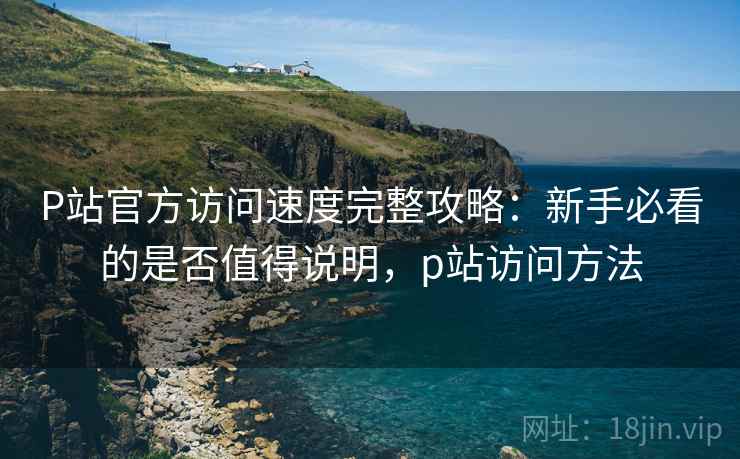 P站官方访问速度完整攻略：新手必看的是否值得说明，p站访问方法  第2张