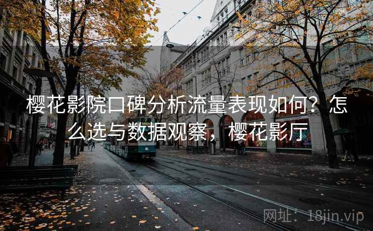 樱花影院口碑分析流量表现如何？怎么选与数据观察，樱花影厅