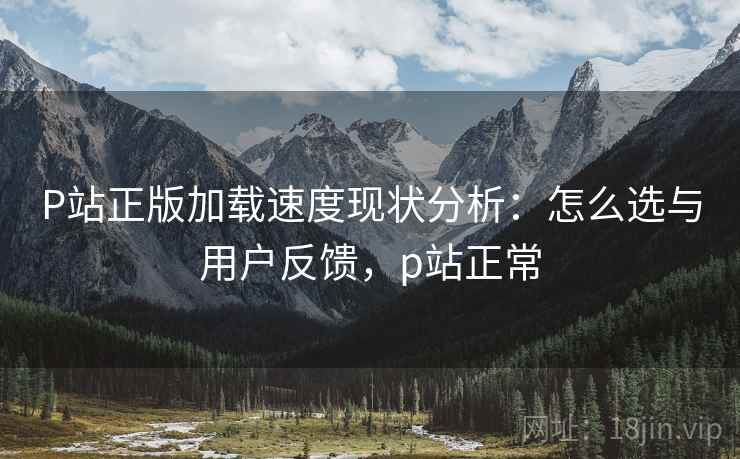 P站正版加载速度现状分析:怎么选与用户反馈,p站正常 第1张 P站正版加载速度现状分析:怎么选与用户反馈,p站正常 第1张