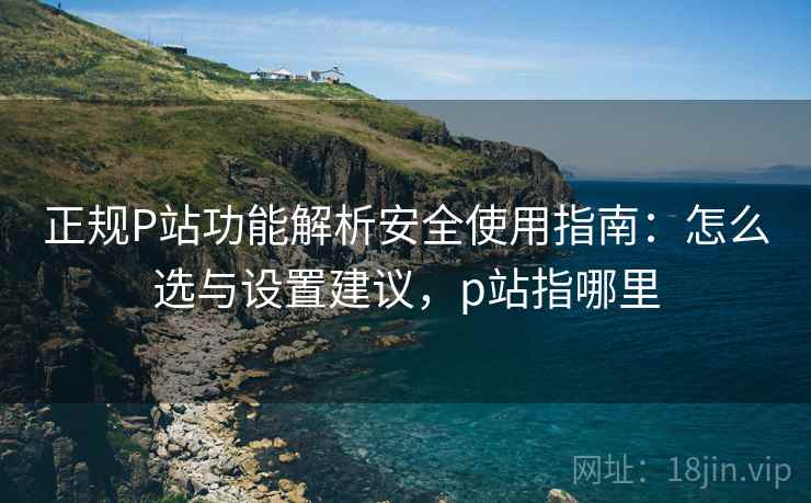 正规P站功能解析安全使用指南:怎么选与设置建议,p站指哪里 第1张 正规P站功能解析安全使用指南:怎么选与设置建议,p站指哪里 第1张