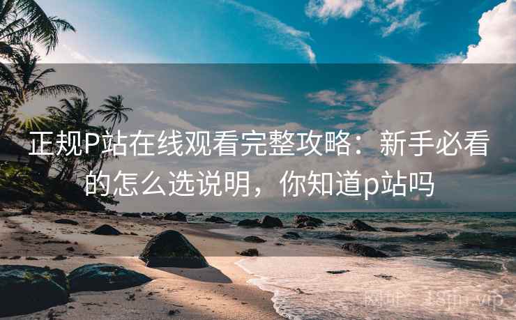 正规P站在线观看完整攻略:新手必看的怎么选说明,你知道p站吗 第1张 正规P站在线观看完整攻略:新手必看的怎么选说明,你知道p站吗 第1张