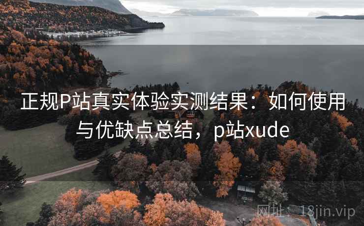 正规P站真实体验实测结果：如何使用与优缺点总结，p站xude  第2张