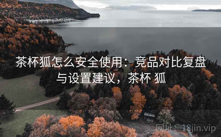 茶杯狐怎么安全使用：竞品对比复盘与设置建议，茶杯 狐  第2张