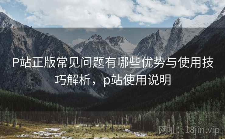 P站正版常见问题有哪些优势与使用技巧解析，p站使用说明  第2张