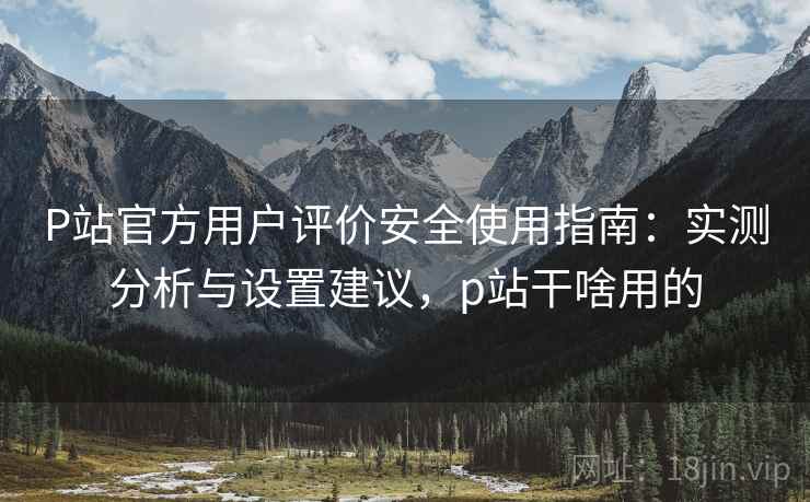 P站官方用户评价安全使用指南：实测分析与设置建议，p站干啥用的  第2张
