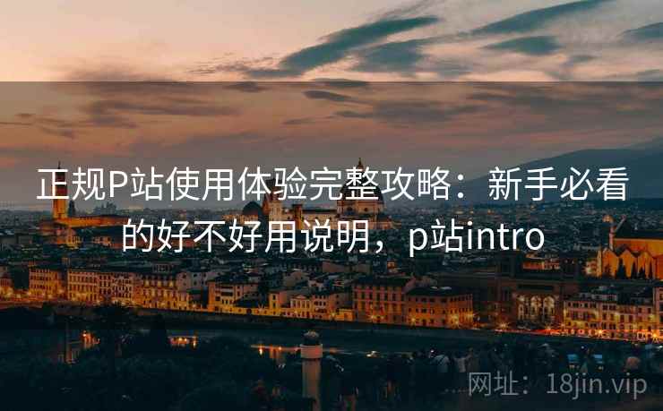 正规P站使用体验完整攻略：新手必看的好不好用说明，p站intro  第2张