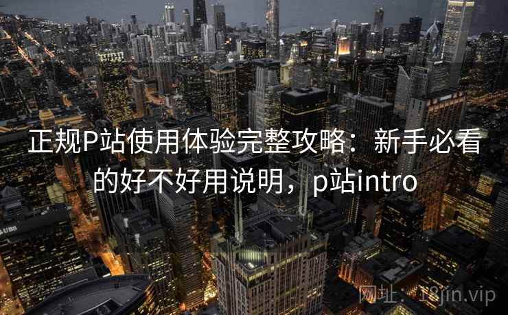 正规P站使用体验完整攻略：新手必看的好不好用说明，p站intro  第1张