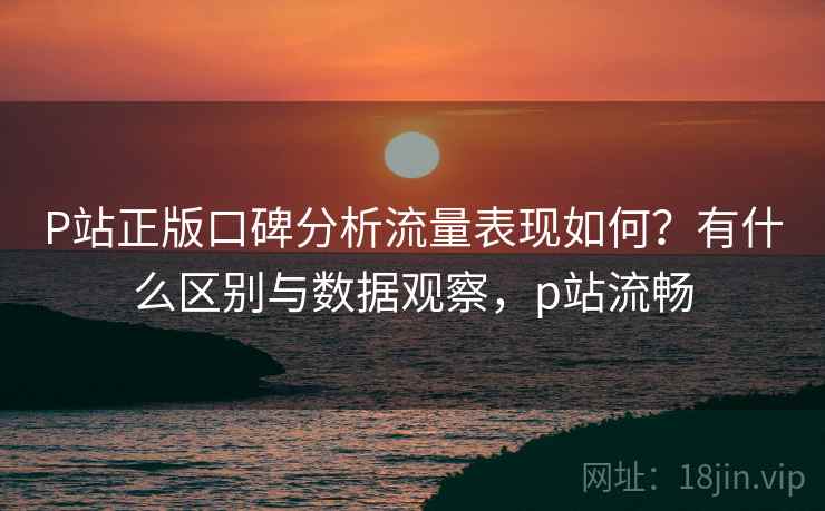 P站正版口碑分析流量表现如何？有什么区别与数据观察，p站流畅