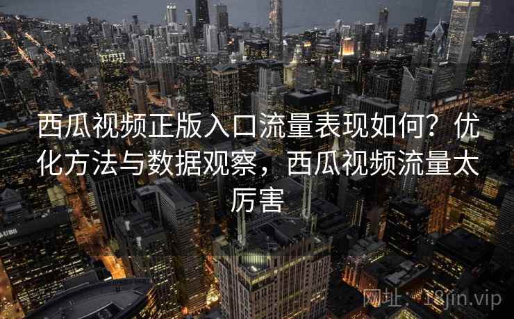 西瓜视频正版入口流量表现如何？优化方法与数据观察，西瓜视频流量太厉害
