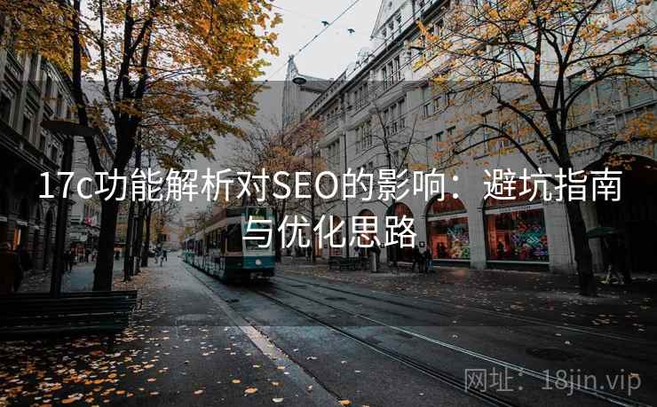 17c功能解析对SEO的影响：避坑指南与优化思路  第2张