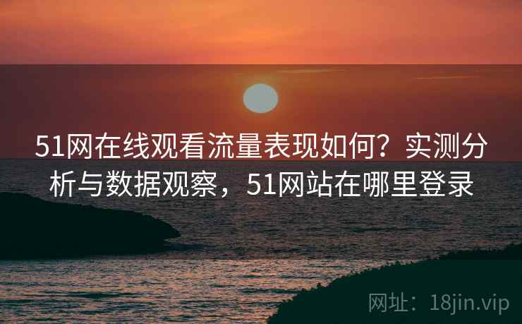 51网在线观看流量表现如何？实测分析与数据观察，51网站在哪里登录